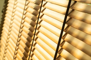 yakın çekim bambu perdesi, bambu perdesi, civciv, Venedik körü ya da güneş körü - yumuşak odak noktası