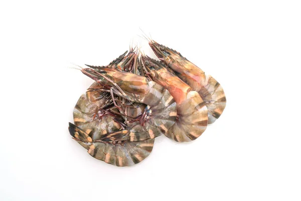 新鲜的虎虾或虾 背景为白色 — 图库照片