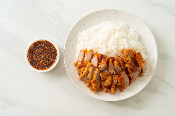 Carne Maiale Fritta Condita Con Riso Salsa Piccante — Foto Stock