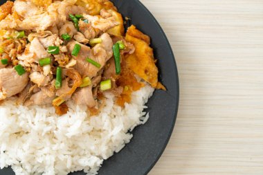 Pirinç üzerine sarımsak ve yumurta soslu kızarmış domuz eti. Asya usulü.