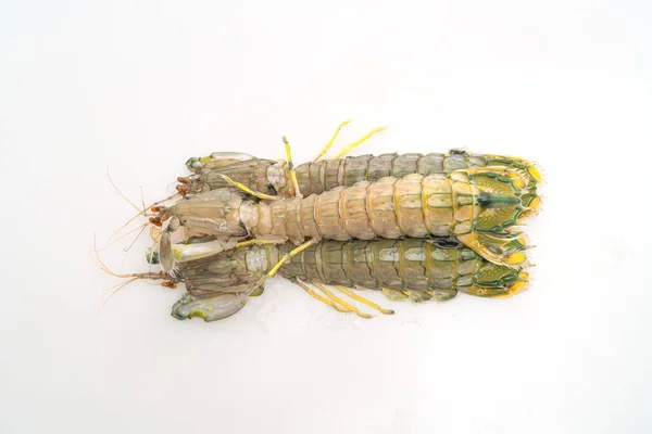 在白色背景上分离的新鲜螳螂虾 — 图库照片