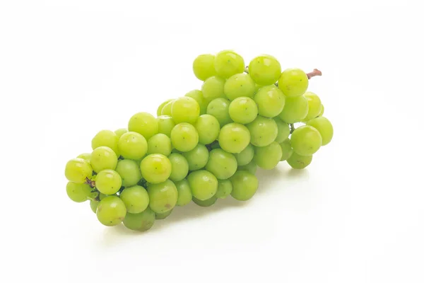 白を基調とした新緑のブドウ — ストック写真