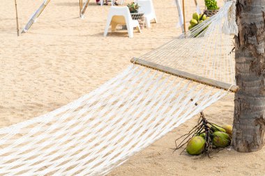 Deniz sahili geçmişi olan boş bir beşik.