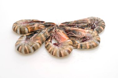 Beyaz arka planda izole edilmiş taze kaplan karidesi veya karides