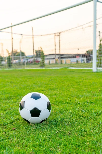 Soccer ball on the football field  background with copy space
