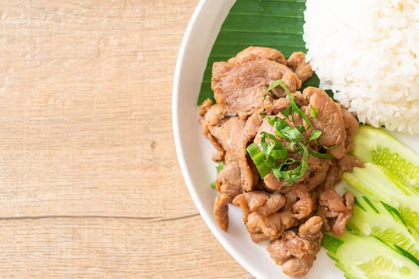 Gegrilltes Schweinefleisch Knoblauch Mit Reis Mit Würziger Sauce Asiatischen Stil — Stockfoto