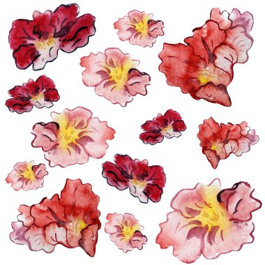 Suluboya foverları. Beyaz arka plan.