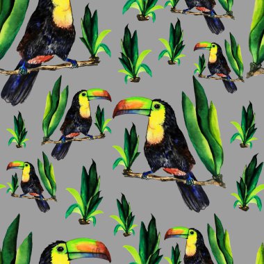 Toucans ile Seamless Modeli.