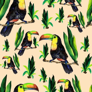 Toucans ile Seamless Modeli.