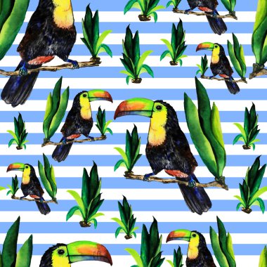 Toucans ile Seamless Modeli.