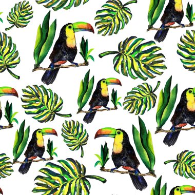 Yaprakları monstera ve Toucan seamless modeli