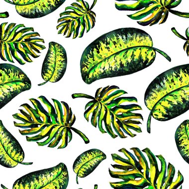 Yaprakları monstera seamless modeli