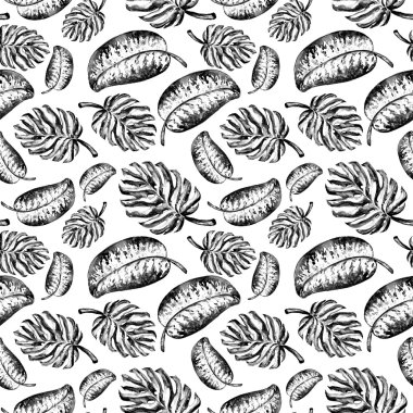 Yaprakları monstera seamless modeli