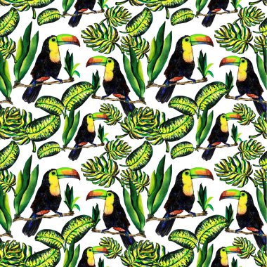Yaprakları monstera ve Toucan seamless modeli