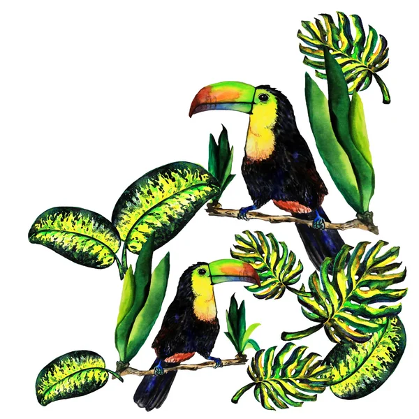 Hälsningen kort blad monstera och Toucan — Stockfoto