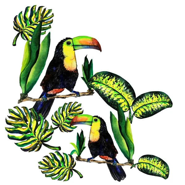 Hälsningen kort blad monstera och Toucan — Stockfoto