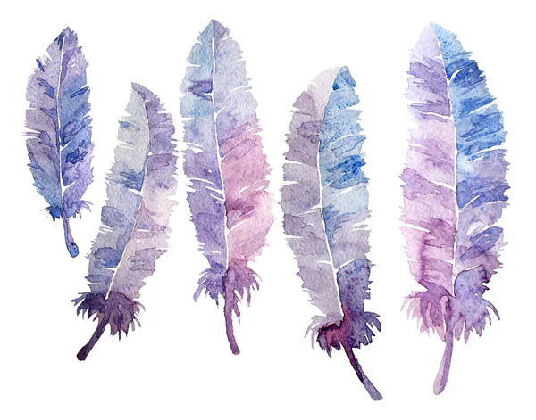 Watercolor feathers colorful set. — Stock Photo, Image