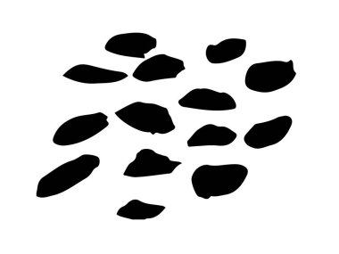 Noktalar Vektörü Soyut Lekeler Grunge Fırça El deseni Siyah Renk Taslak Basit Desen Beyaz Arkaplan Duvar Şeklinde izole