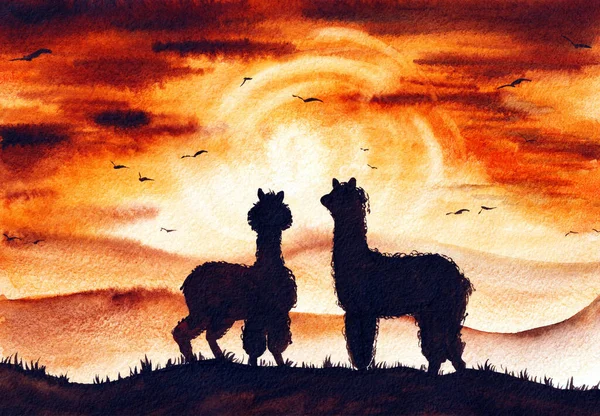 Llama Watercolor Ilustração Arte Original no papel. Cartaz de Alpaca pintado à mão em estilo aquarela. Pode ser usado para papel de parede de impressão e fundo — Fotografia de Stock