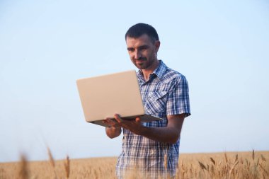 Farmer agronomist works with a laptop in a wheat field, analyzing the impact of the weather forecast on the harvest.