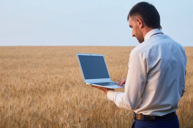 Farmer agronomist works with a laptop in a wheat field, analyzing the impact of the weather forecast on the harvest.