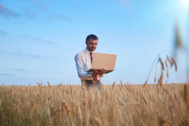 A farmer agronomist works in the field with a laptop using advanced high technologies in growing wheat.