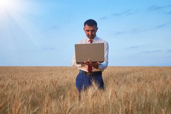 An agronomist farmer works in the field with a snow laptop. Wheat growth control and forecast.