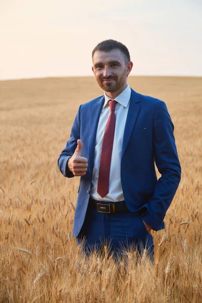 Portrait of Businessman in Blue Suit Holding Thumbs Up on Ripe Wheat Field.