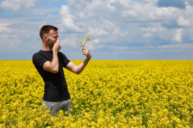 Kolza tarlasında polene alerjisi olan bir adam burnunu kapatır..