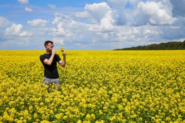 Kolza tarlasında polene alerjisi olan bir adam burnunu kapatır..