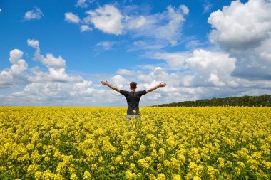 Mutlu adam sarı bir tarlada sevinçle duruyor ellerini havaya kaldırıyor..