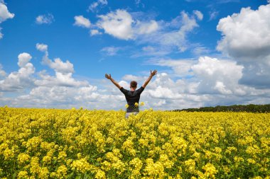 Mutlu adam sarı bir tarlada sevinçle duruyor ellerini havaya kaldırıyor..