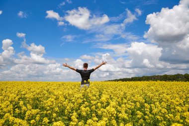 Kolza tohumu tarlasında elleri havada mutlu bir çiftçi duruyor..