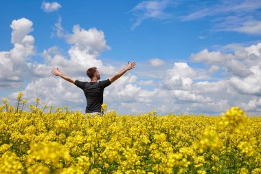 Kolza tohumu tarlasında elleri havada mutlu bir çiftçi duruyor..