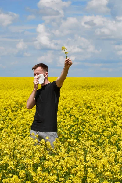 Sezónní Alergie Květiny Pyl Květ — Stock fotografie