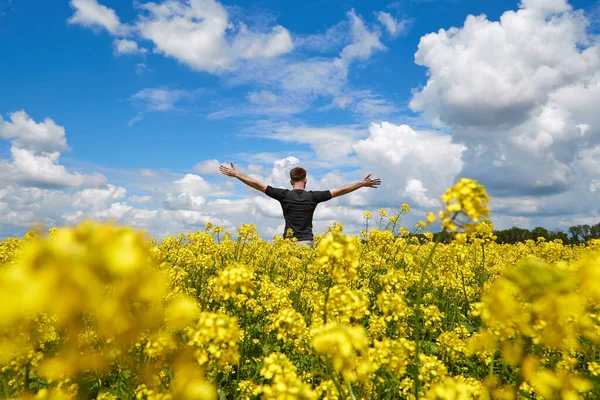 Lycklig Bonde Står Ett Rapsfält Med Händerna Upp — Stockfoto