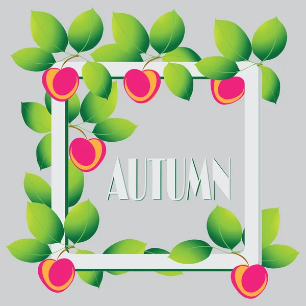 Composition d'automne. Pommes sur fond gris . — Image vectorielle