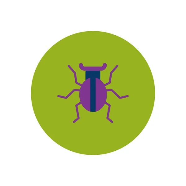 Stylish pictogram in kleur cirkel kever insect — Stockvector