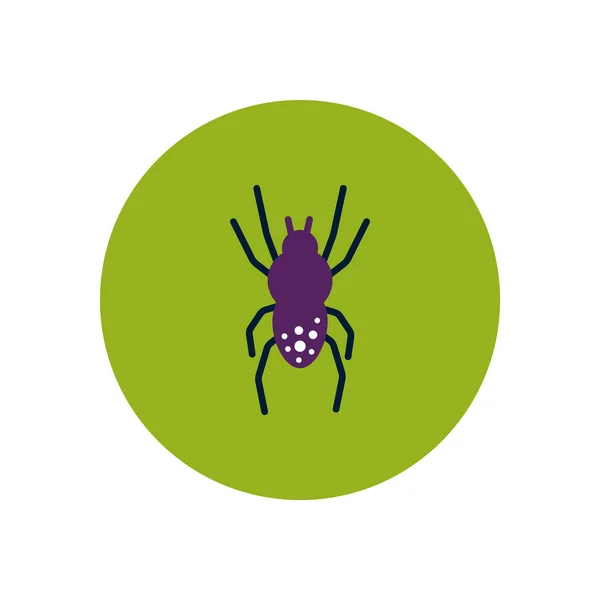 Stylish pictogram in kleur cirkel spin insect — Stockvector