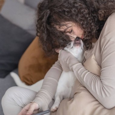 Neşeli kıvırcık kadın küçük köpeğini öpüyor sıcak, minimalist ev içinde sevgi dolu bir şefkat hissediyor. Evcil hayvanlarla oynayan mutlu kadın sahibi Jack Russell Terrier oturma odasında yaşıyor.