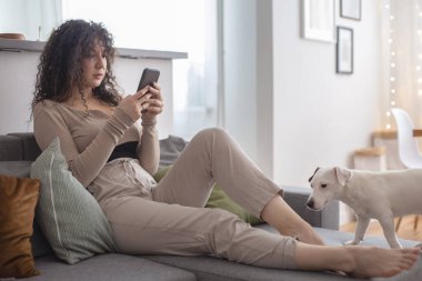 Genç esmer kıvırcık kadın internette sohbet ediyor. Kanepede köpekle akıllı telefon kullanıyor. Bayan evcil hayvan sahibi rahatlıyor. Evcil hayvan Jack Russell Terrier 'ın evcil hayvanı. Samimi Scandi apartmanında.
