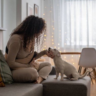 Genç kıvırcık kadın internette sörf yapıyor. Kanepede köpek Jack Russell Terrier ile akıllı telefon kullanıyor.