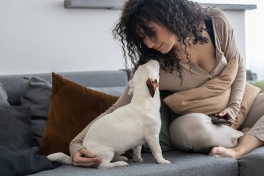 Genç kıvırcık kadın internette sörf yapıyor. Kanepede köpek Jack Russell Terrier ile akıllı telefon kullanıyor.