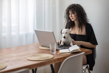 Modern serbest çalışan kadın kucuk sevimli köpekle oynuyor uzaktan kumandalı Jack Russell Terrier
