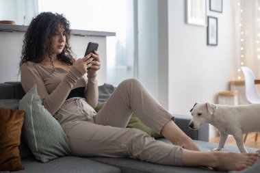 Genç kıvırcık kadın internette sörf yapıyor. Kanepede köpek Jack Russell Terrier ile akıllı telefon kullanıyor.