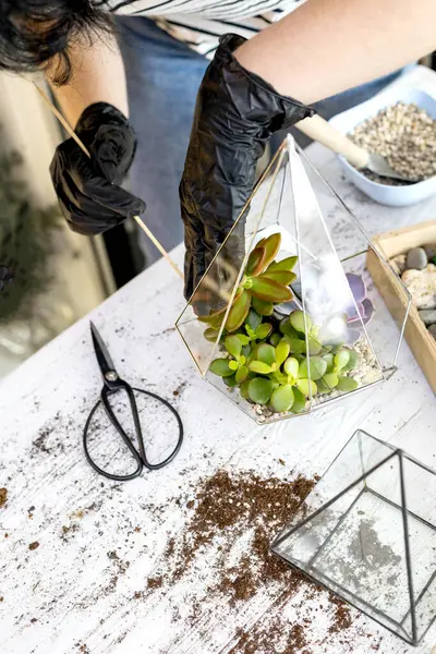 Жіноча квіткова композиція підсумовує природні рослини в скляний квітник на кам'яному декорі крупним планом — стокове фото