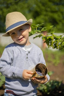 A little boy eats a blue honeysuckle from a golden mug.