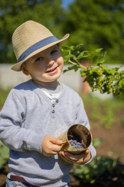 A little boy eats a blue honeysuckle from a golden mug.