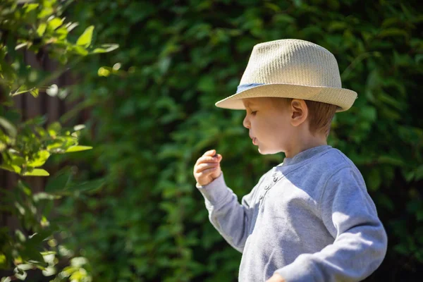 Маленький хлопчик у стильному солом'яному капелюсі вибирає ягідку медузи — стокове фото