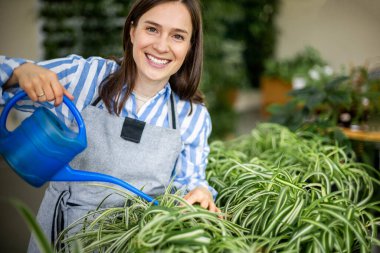 Mutlu esmer kadın çiçekçi ev bahçesinde klorofil yeşili yaprakların üzerine tatlı su döküyor.